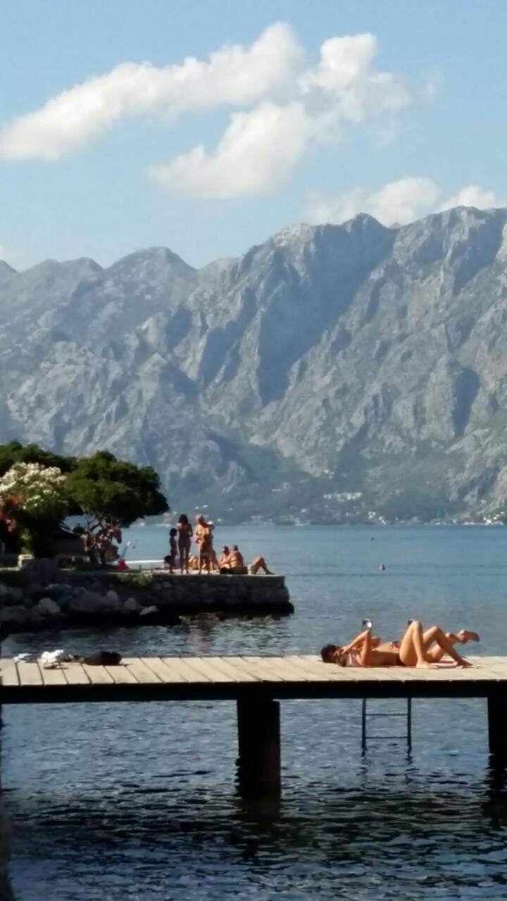 Radiant Lejlighed Kotor Eksteriør billede
